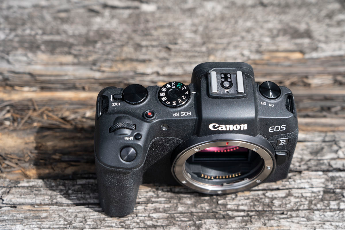 Illustration for article titled I Pitted Canon's 'Affordable' EOS RP Against My Beloved Sony A7 III